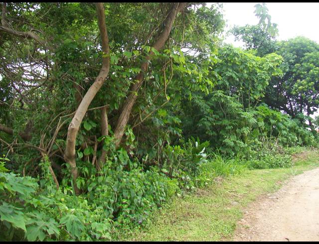 1,682M² VACANT LAND FOR SALE IN PALM BEACH